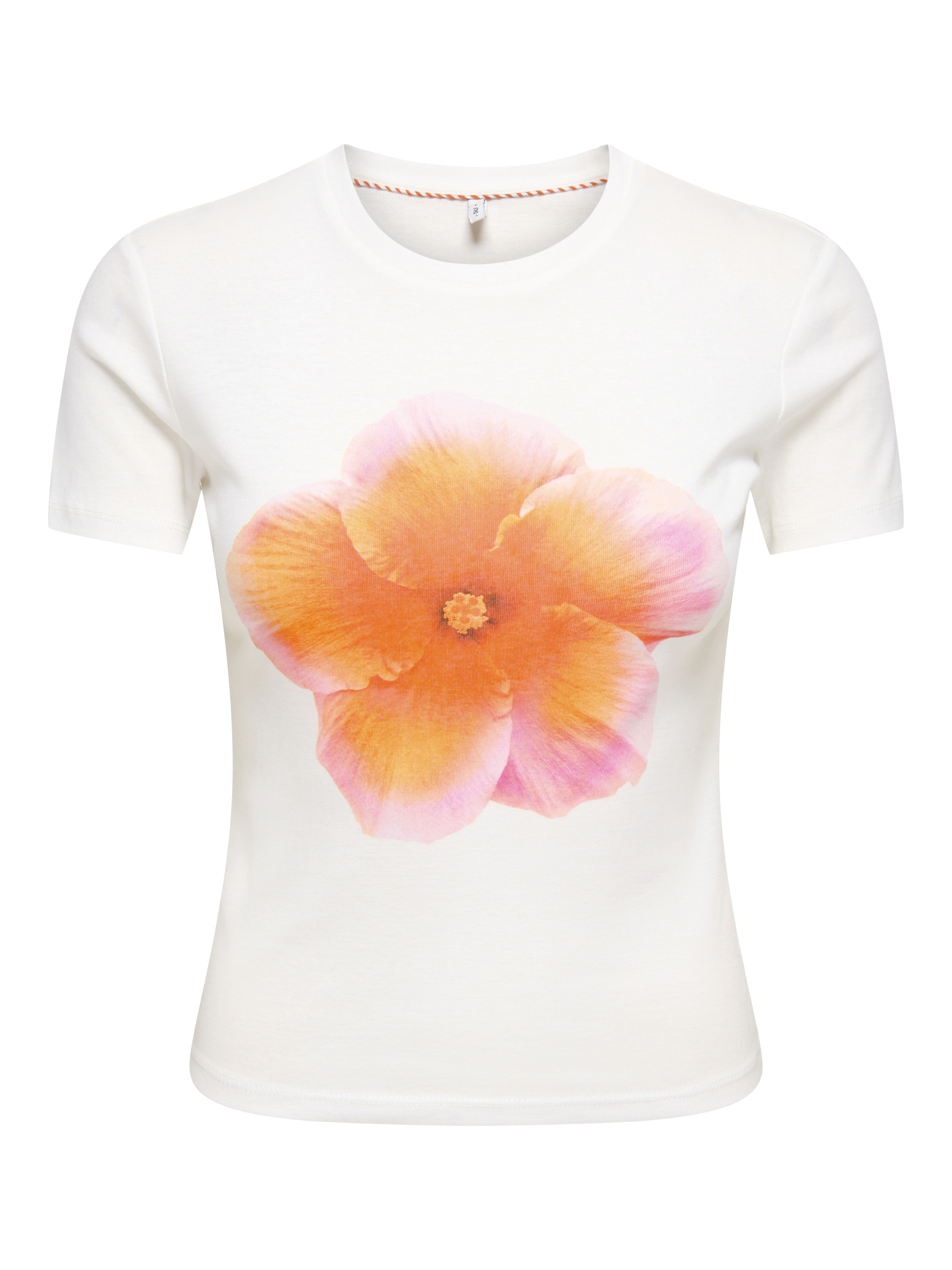 Only Damen T-Shirts Cloud Dancer/Pr