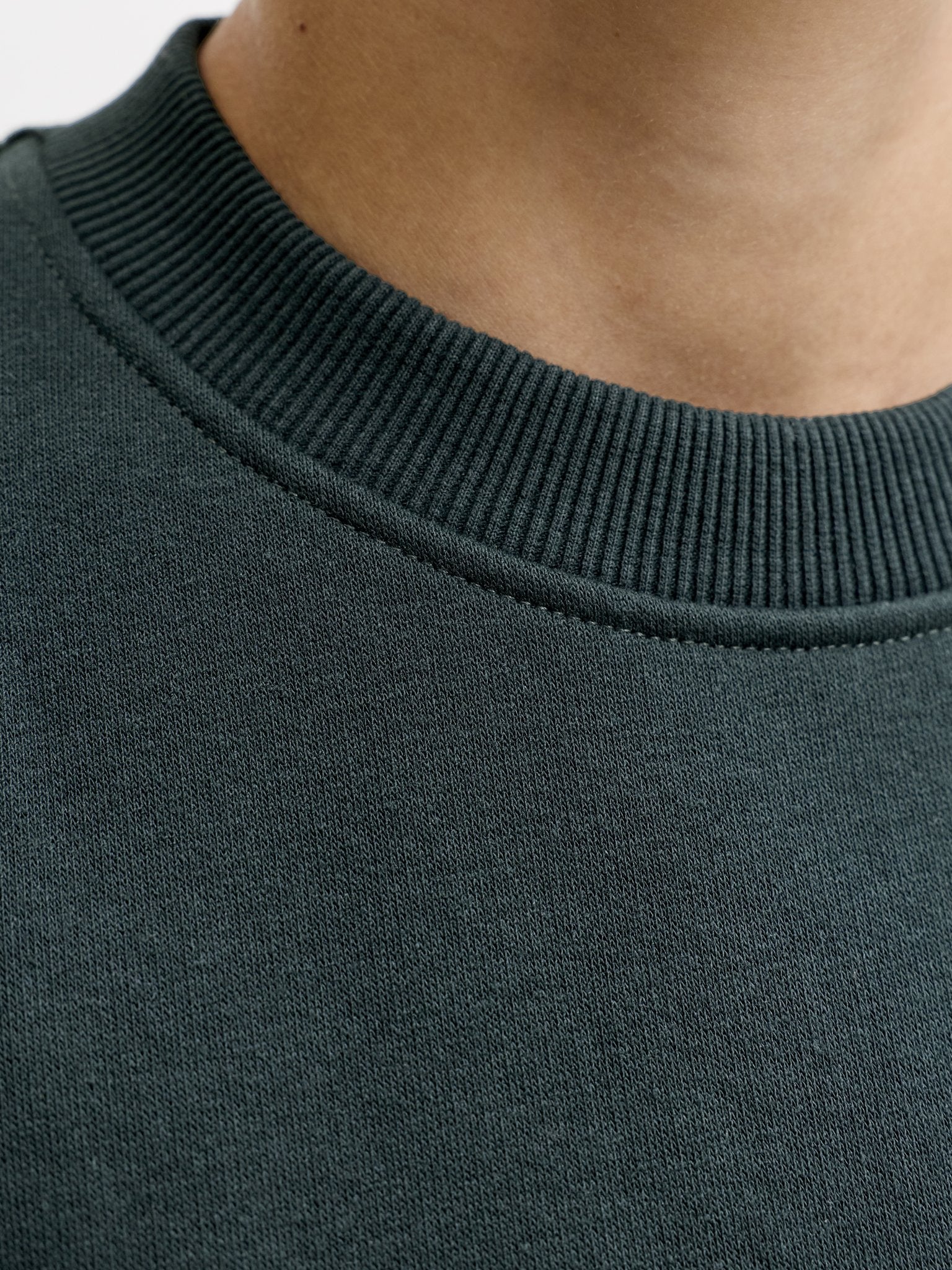 Jack & Jones Jungen Sweats & Sweatjacken Scarab/Big Prin