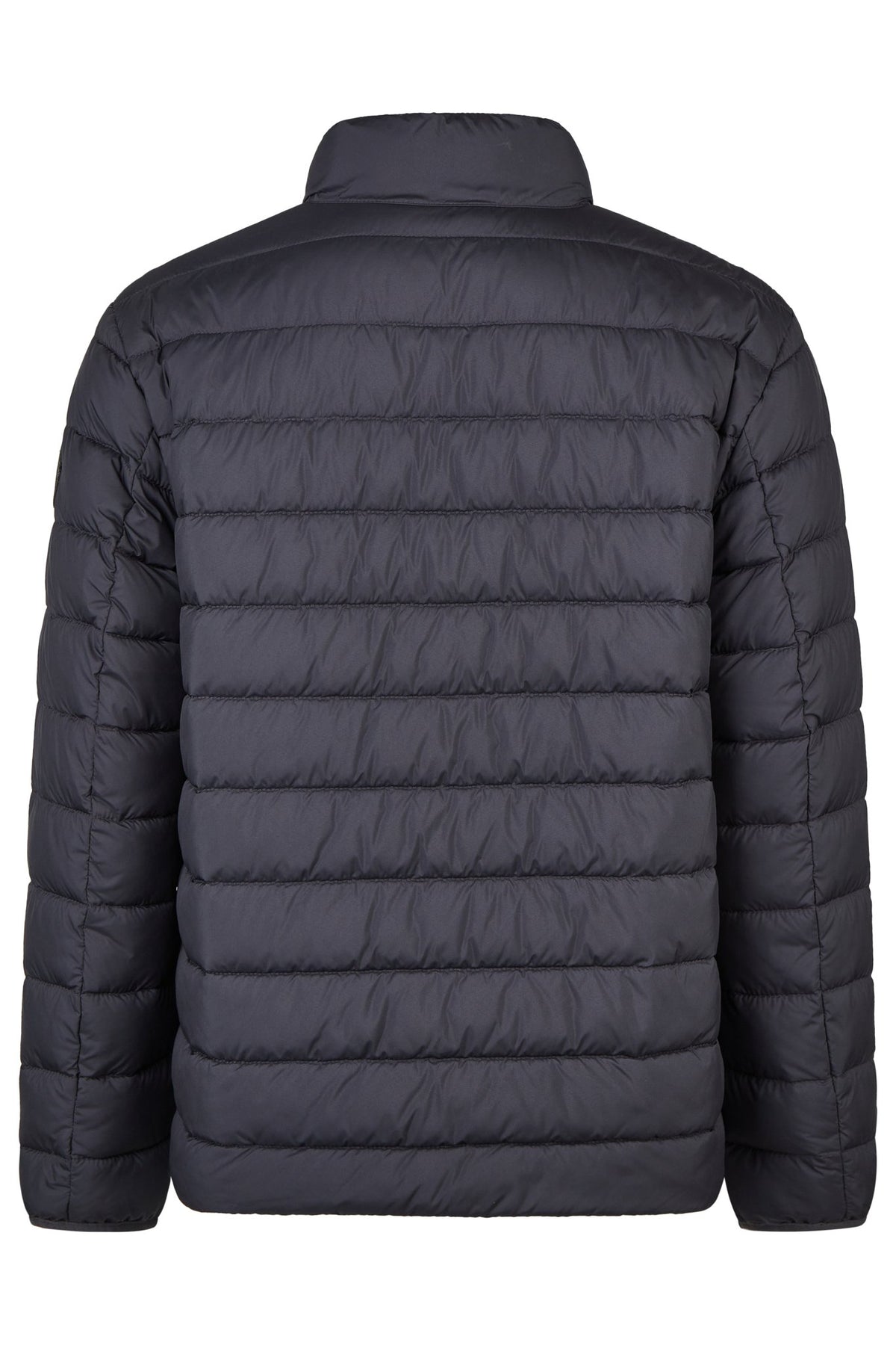 Calamar Herren Jacken Dark Navy