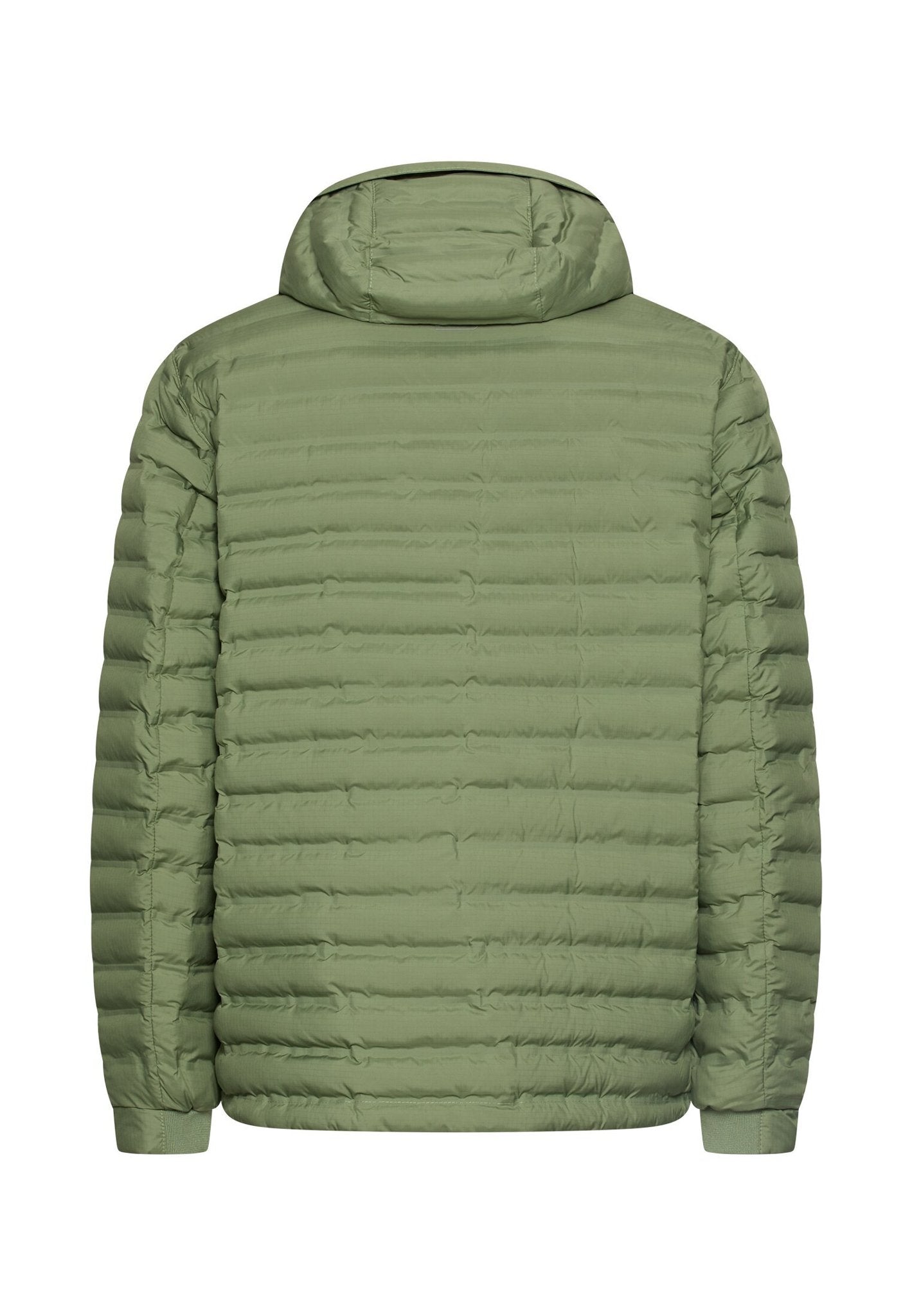 Camel active Herren Jacken Leaf Green