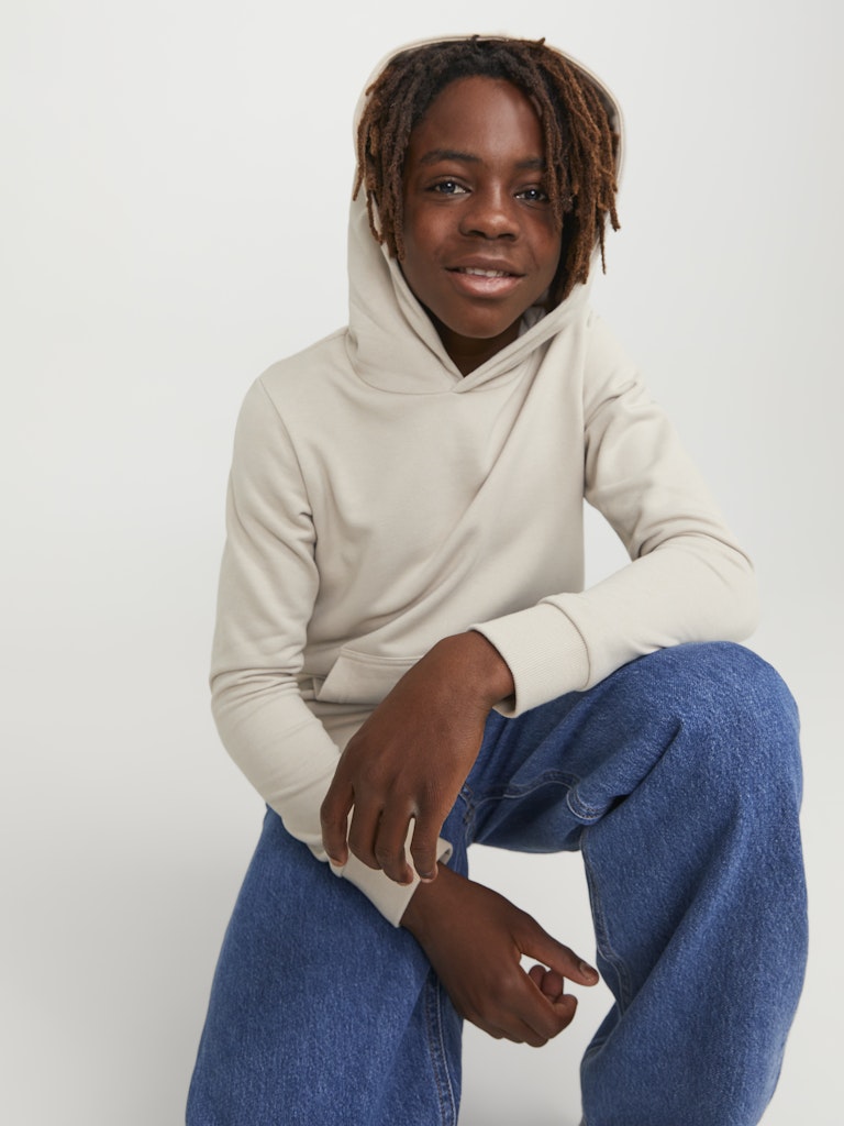 Jack & Jones Jungen Sweats & Sweatjacken Moonbeam