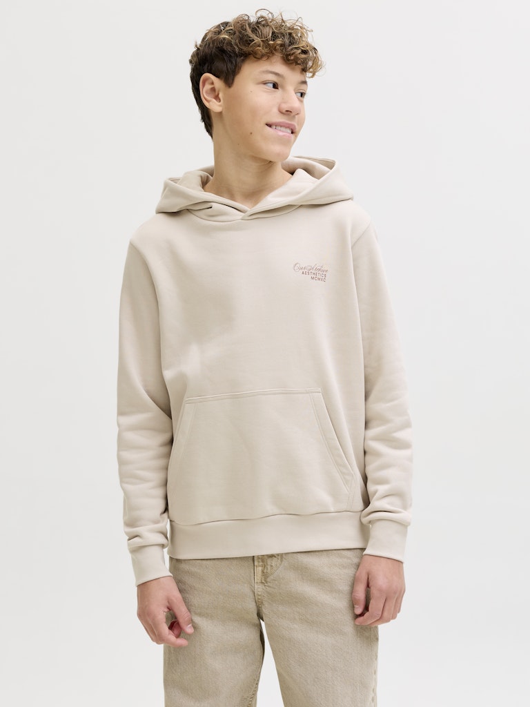 Jack & Jones Jungen Sweats & Sweatjacken Moonbeam