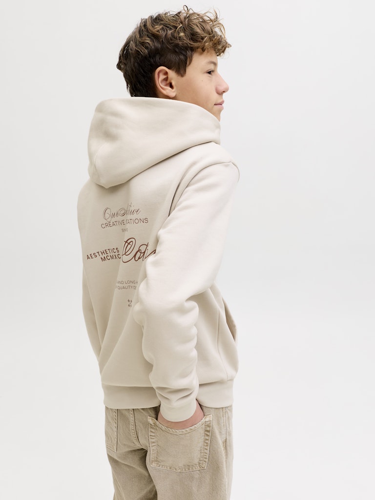 Jack & Jones Jungen Sweats & Sweatjacken Moonbeam