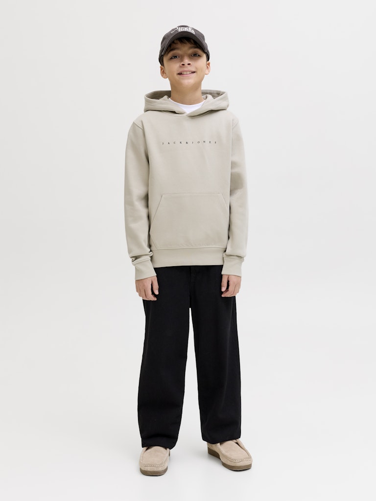 Jack & Jones Jungen Sweats & Sweatjacken Moonbeam