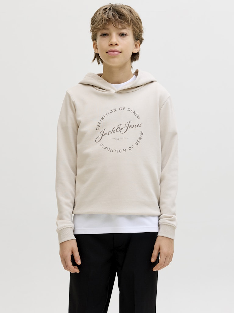 Jack & Jones Jungen Sweats & Sweatjacken Moonbeam