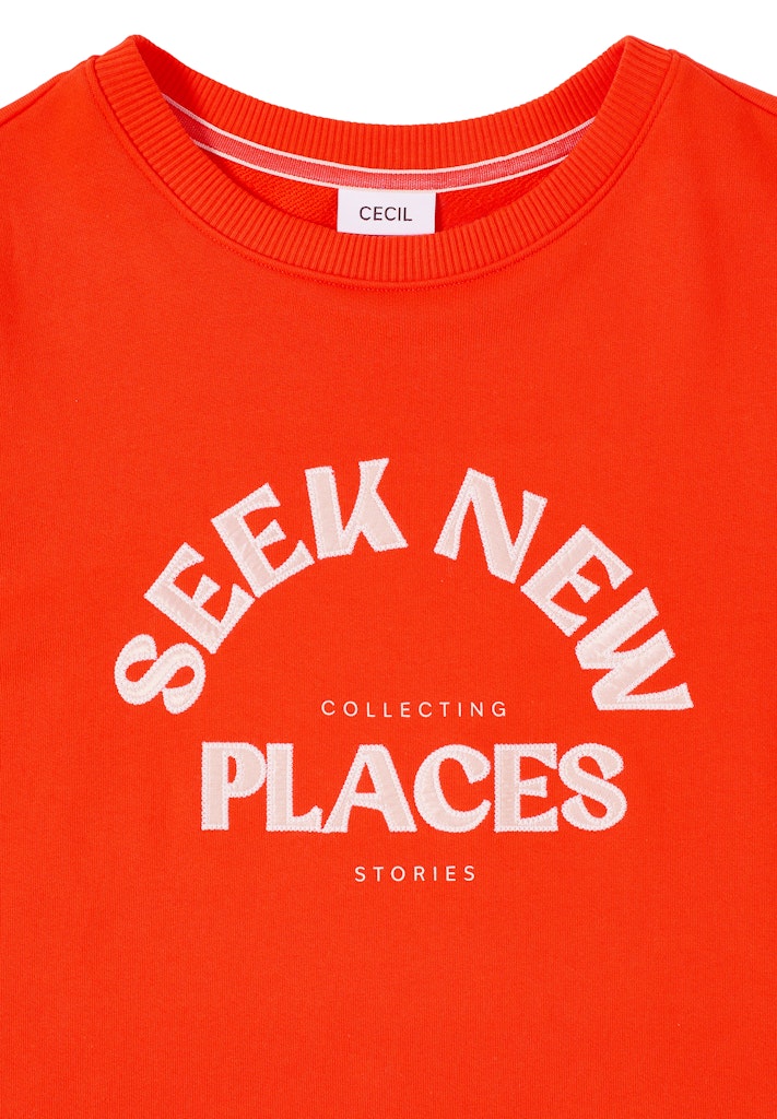 Cecil Damen Pullover Cherry To