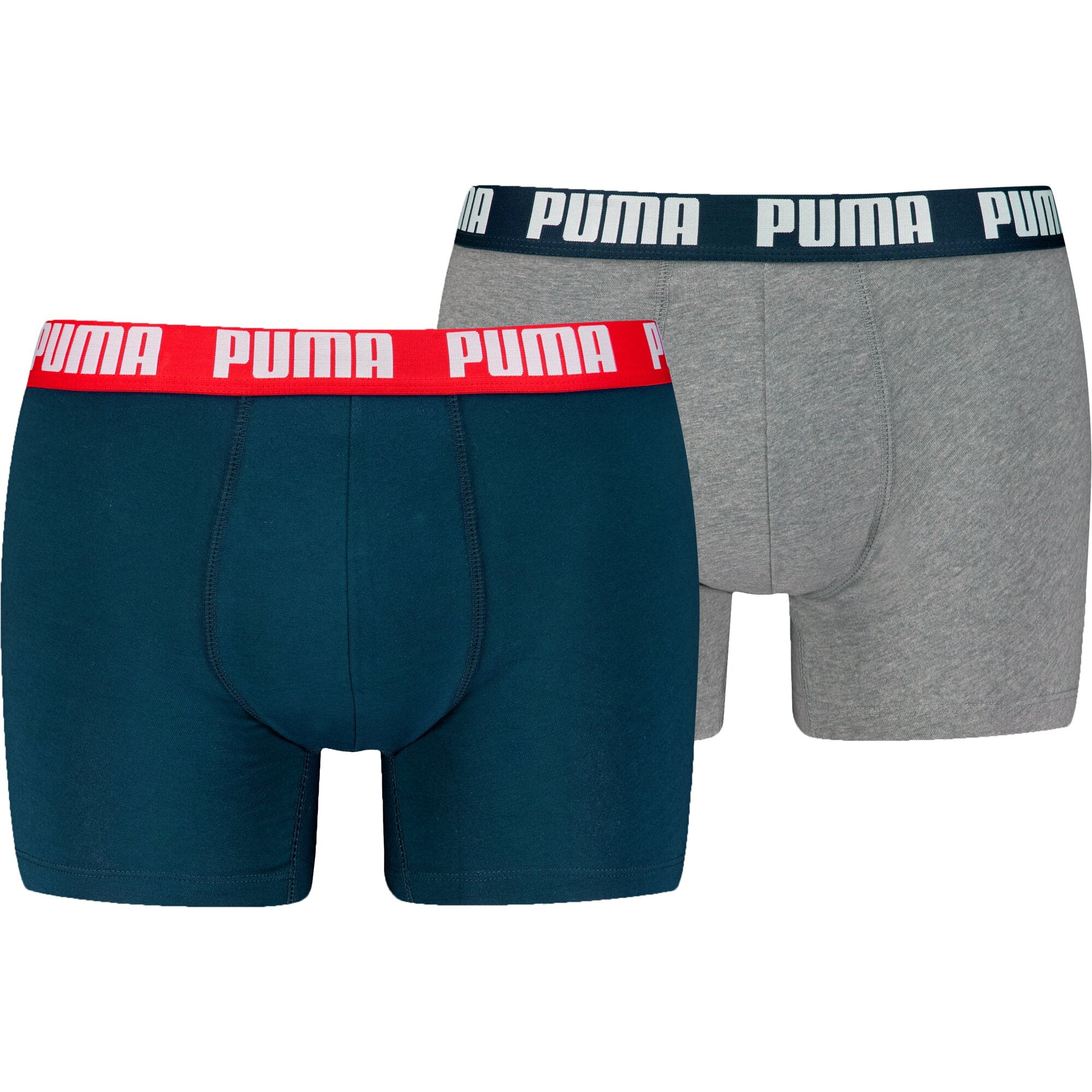 Puma Pant Navy / Grey