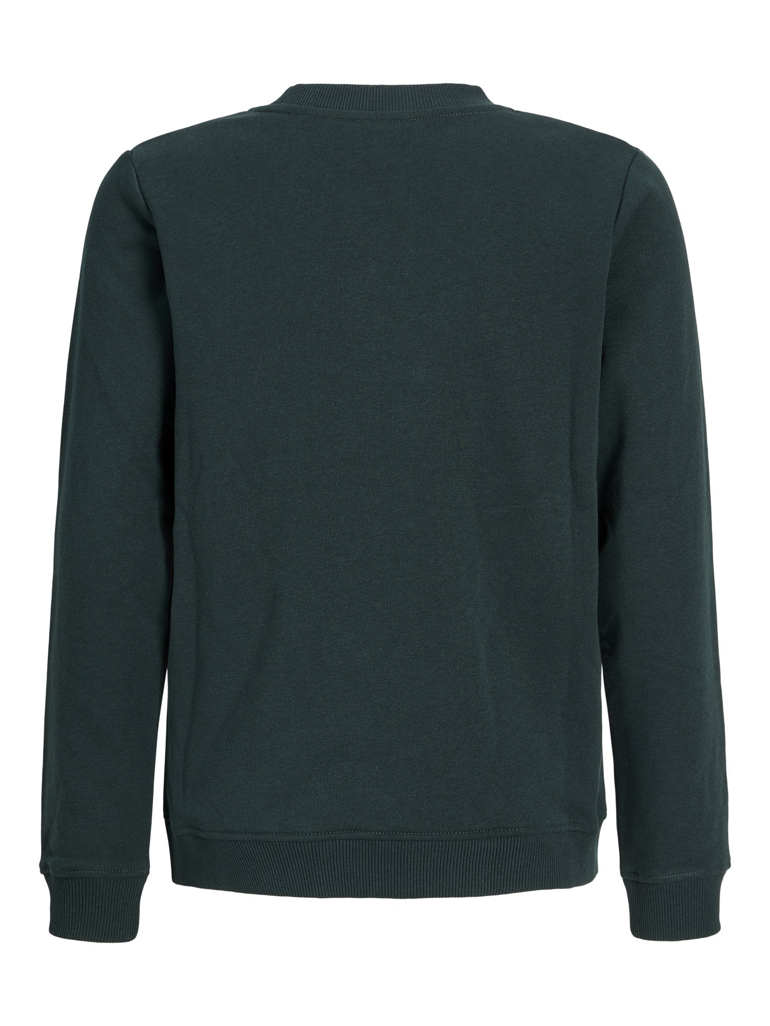 Jack & Jones Jungen Sweats & Sweatjacken Scarab/Big Prin