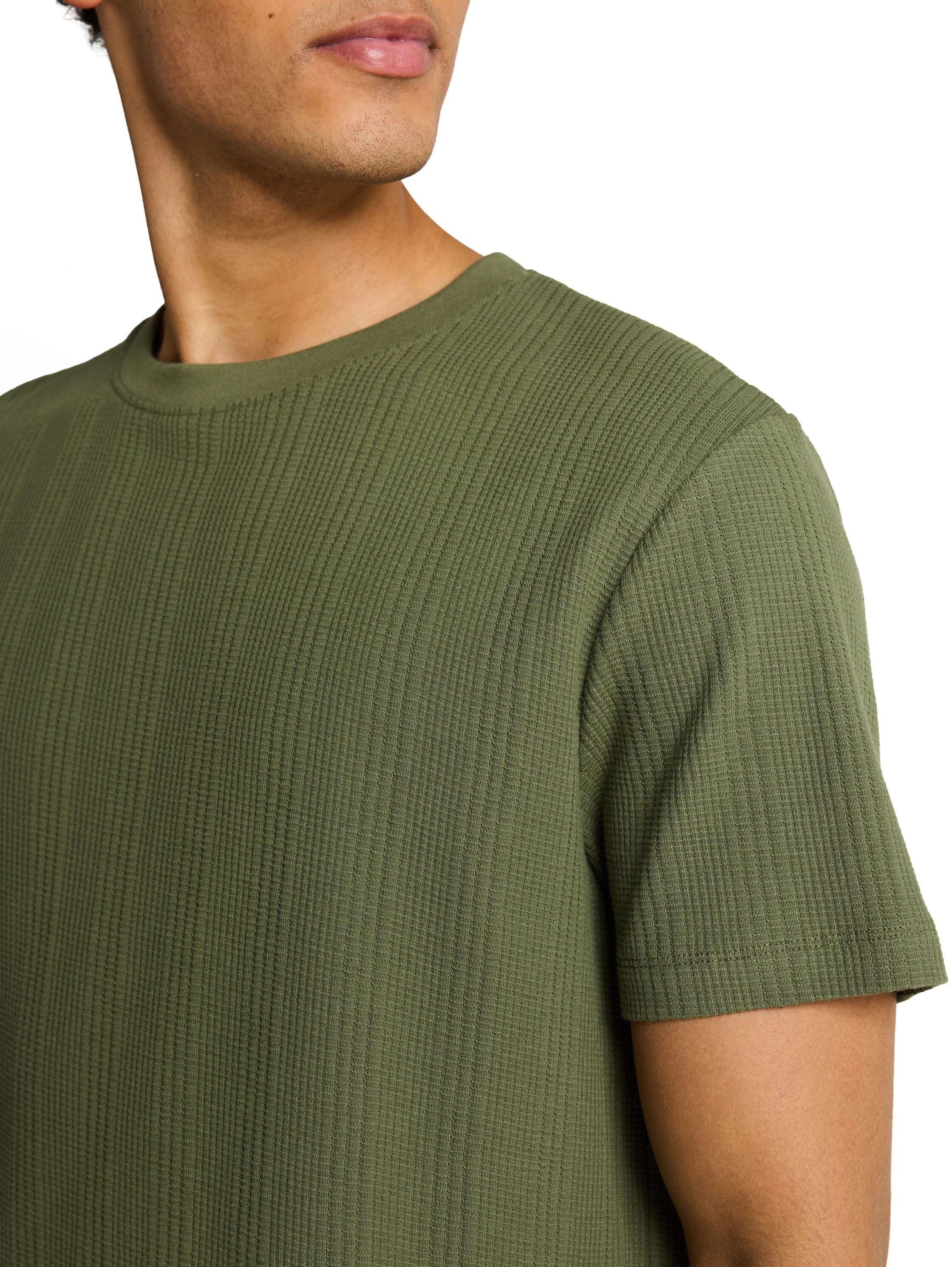 Tom Tailor denim Herren T-Shirts kurz Oak Leaf Green