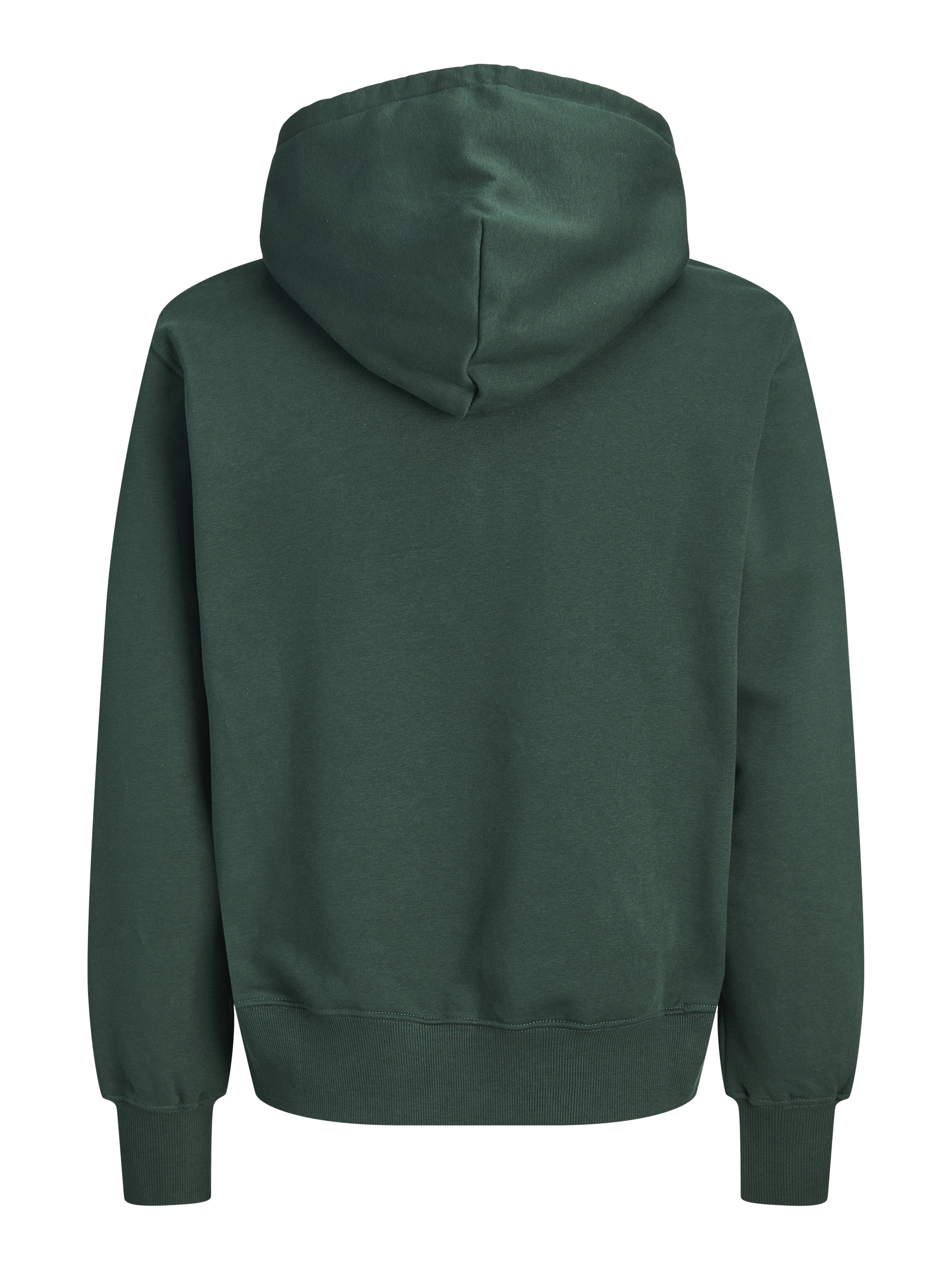 Jack & Jones Herren Sweatshirts Pine Grove