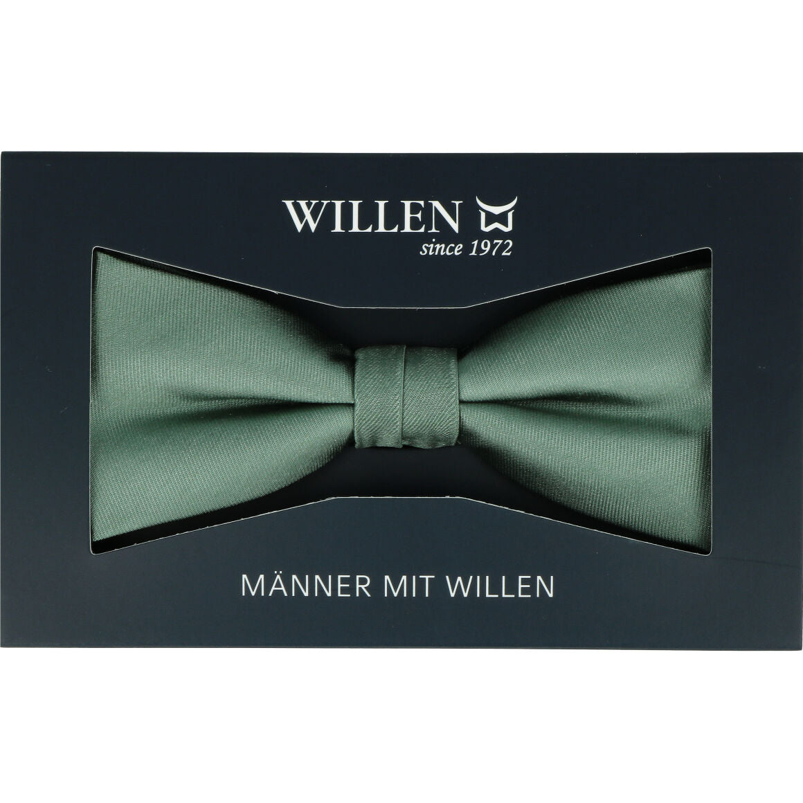Willen Herren Krawatten & Schleifen Hellgrün