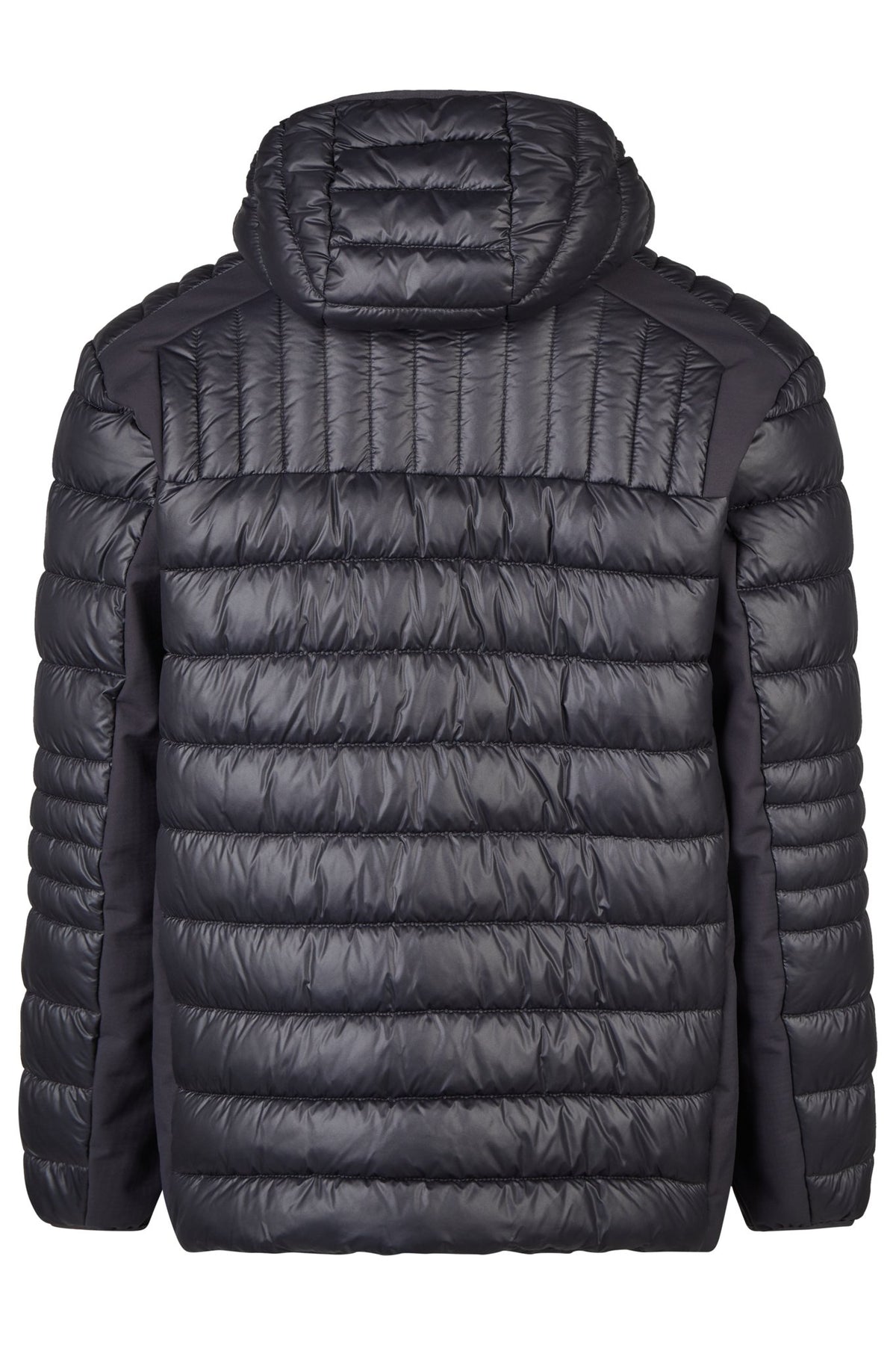 Calamar Herren Jacken Dark Navy