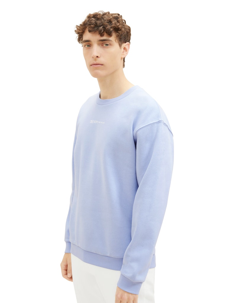 Tom Tailor denim Herren Sweatshirts Brunnera Blue