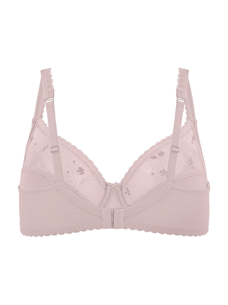 Felina BH Purple Lotion