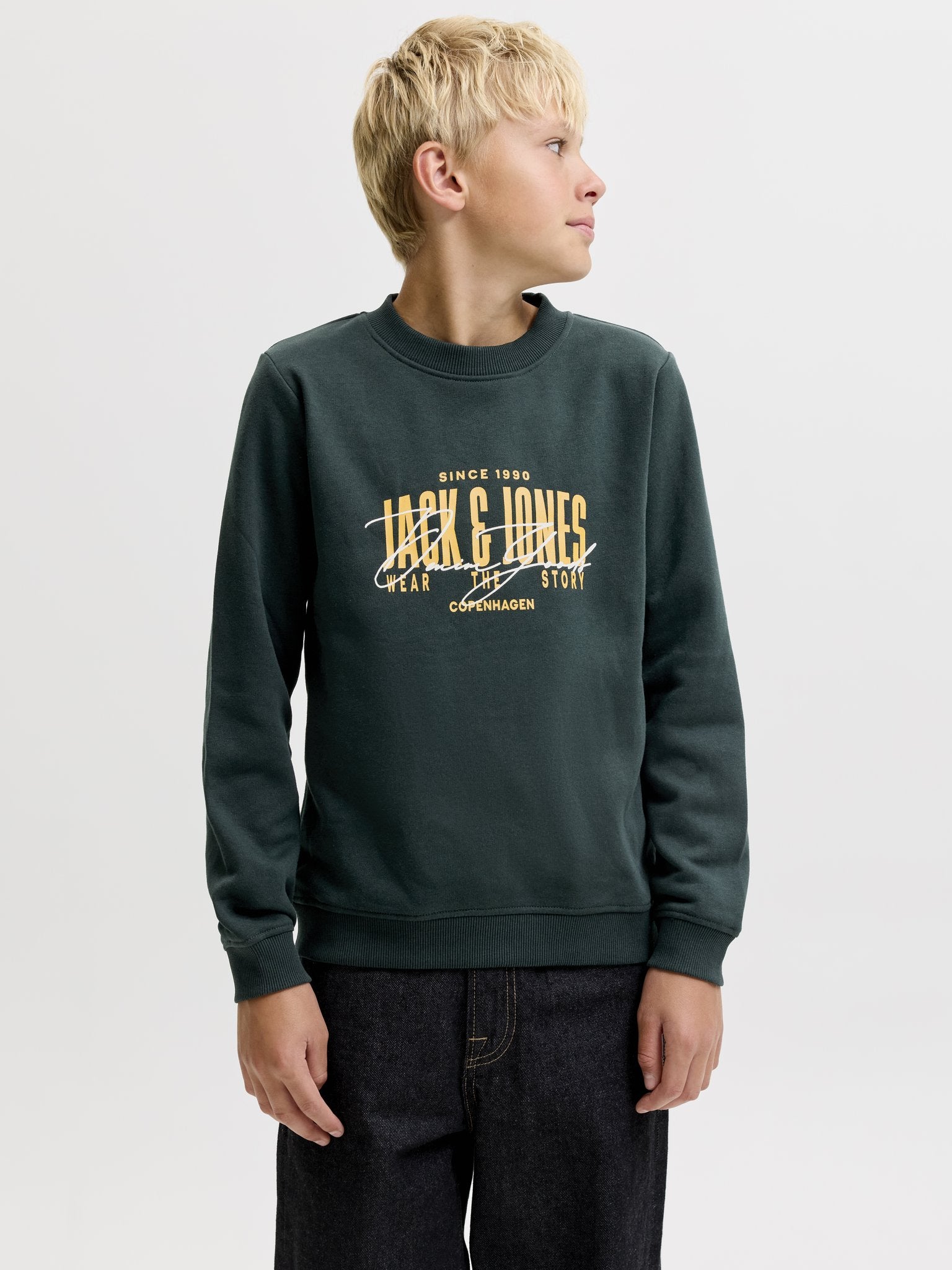 Jack & Jones Jungen Sweats & Sweatjacken Scarab/Big Prin