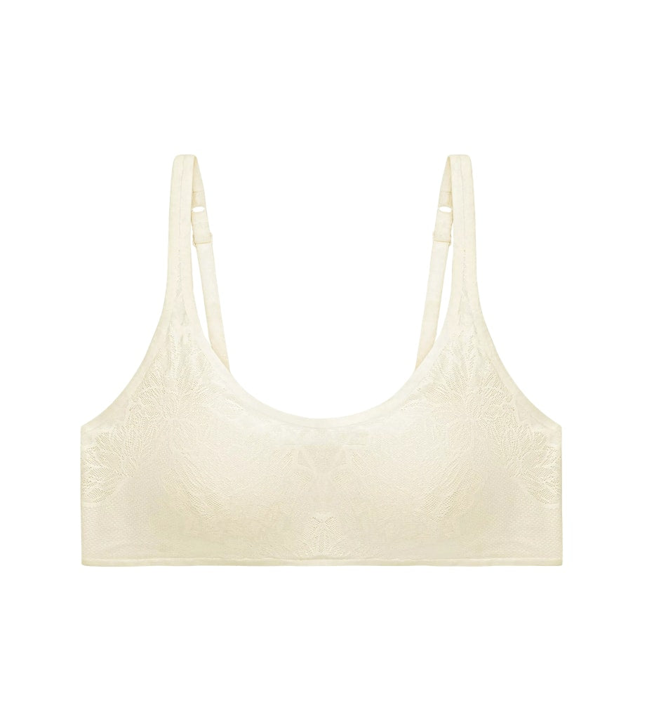 Triumph BH  Chrysanthe