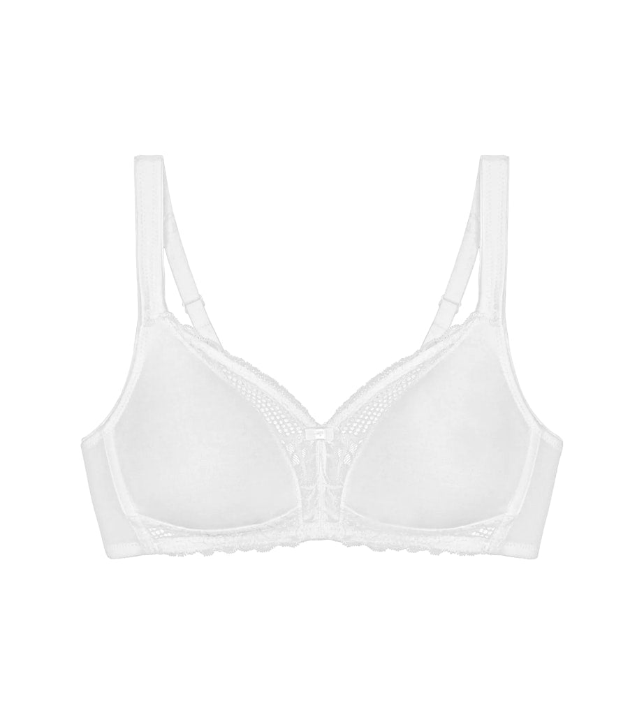 Triumph BH  White