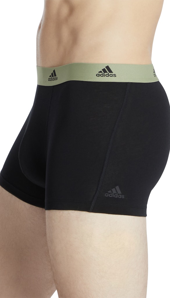 Adidas Pant  Assorted