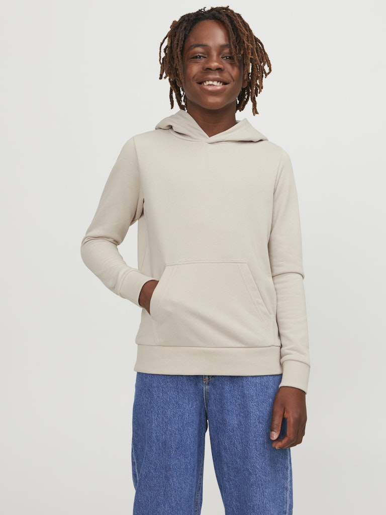 Jack & Jones Jungen Sweats & Sweatjacken Moonbeam
