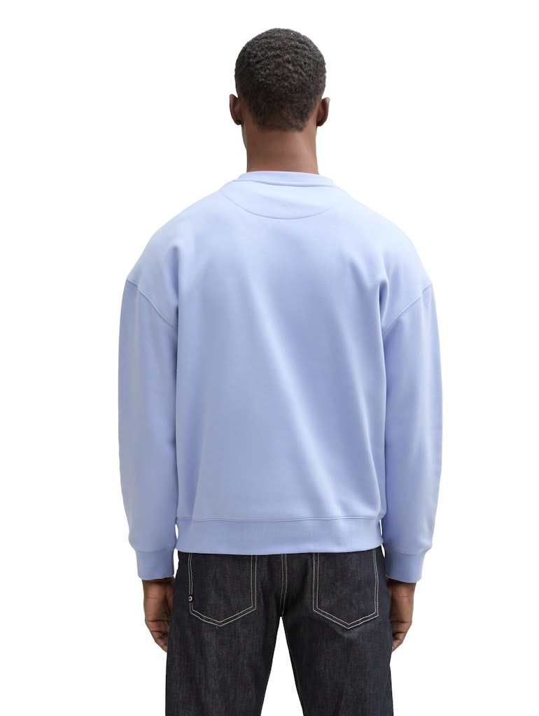 Tom Tailor denim Herren Sweatshirts Brunnera Blue
