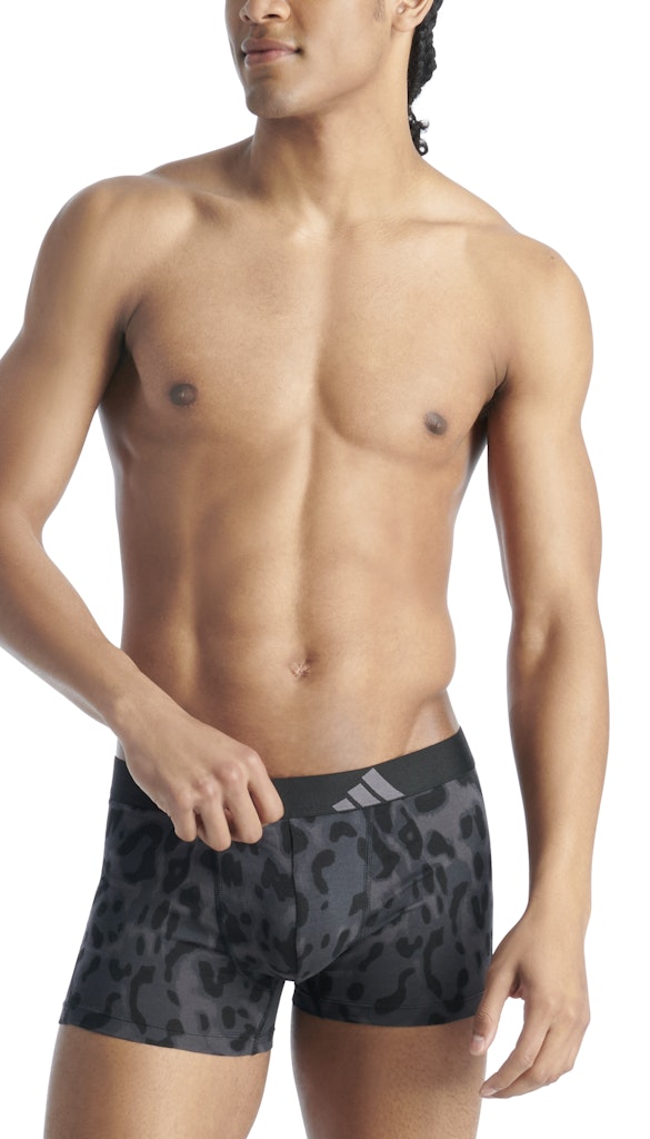 Adidas Pant  Assorted