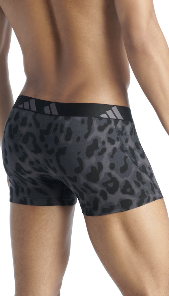 Adidas Pant  Assorted