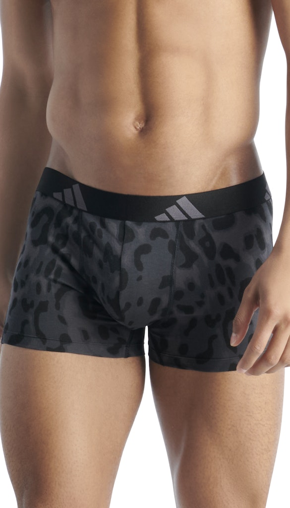 Adidas Pant  Assorted