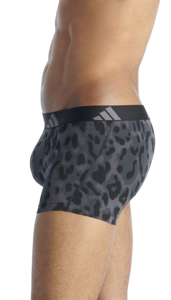 Adidas Pant  Assorted