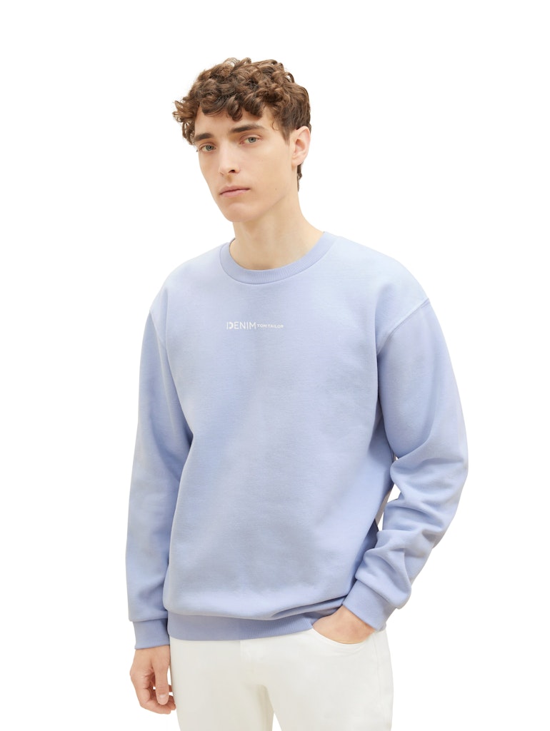 Tom Tailor denim Herren Sweatshirts Brunnera Blue