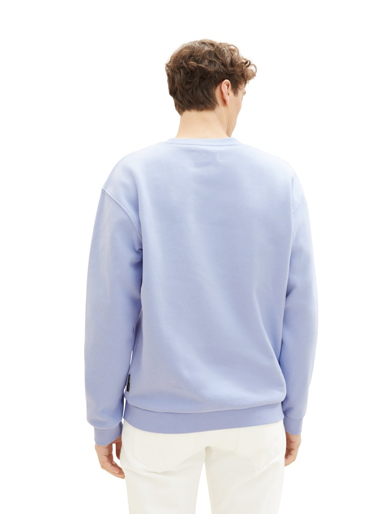 Tom Tailor denim Herren Sweatshirts Brunnera Blue