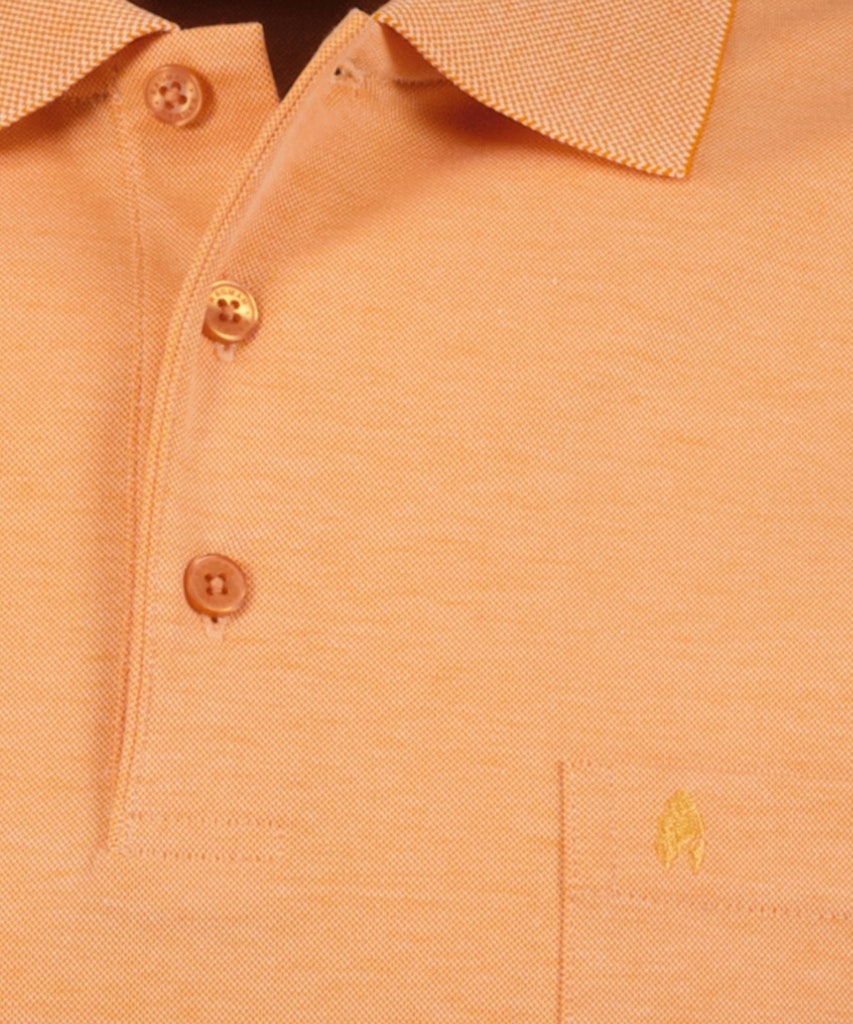 Ragman Herren Polo-Shirts  Apriko