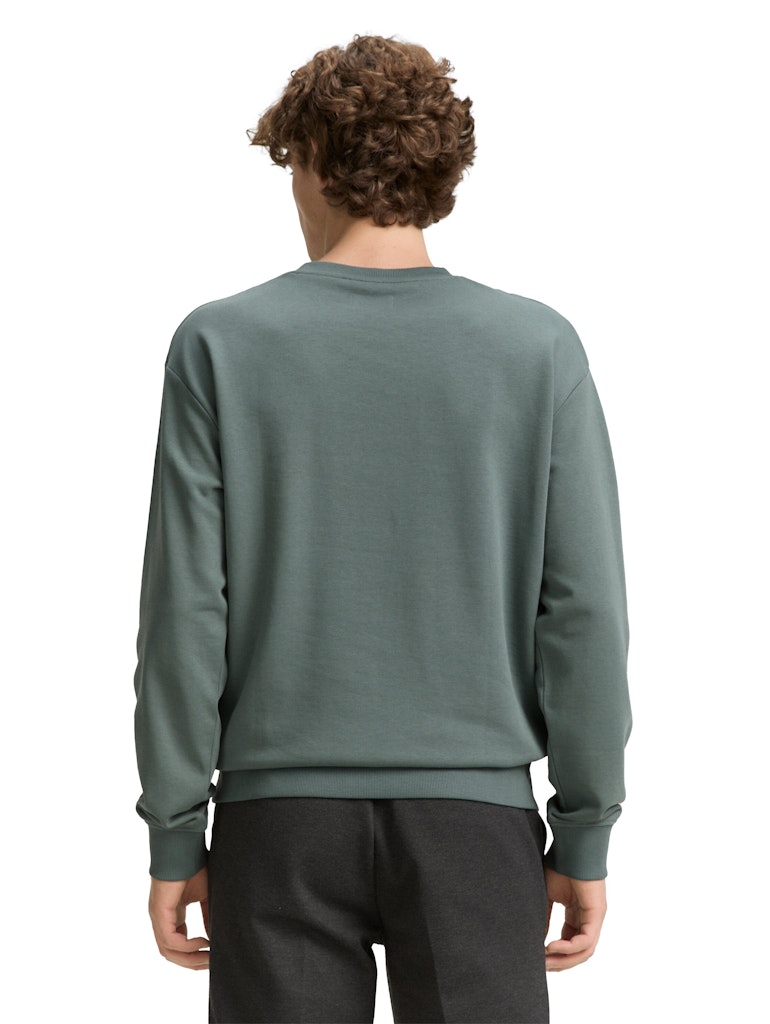 Tom Tailor denim Herren Sweatshirts Washed Jasper G