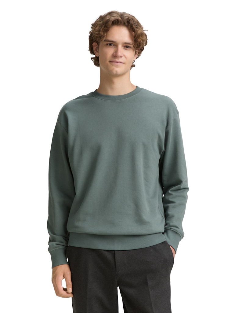 Tom Tailor denim Herren Sweatshirts Washed Jasper G