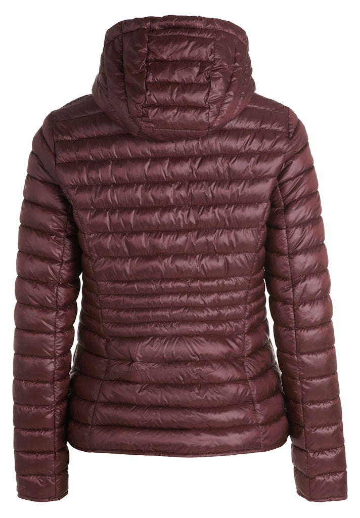 Cartoon Damen Jacken Decadent Chocol