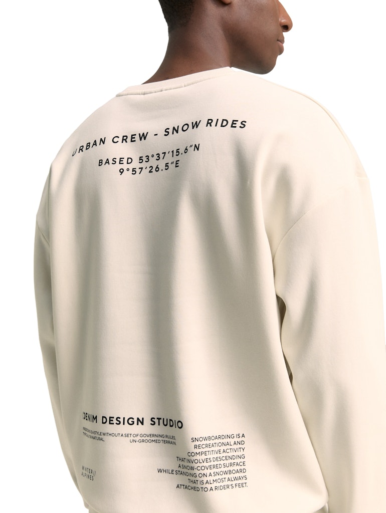 Tom Tailor denim Herren Sweatshirts Wool White