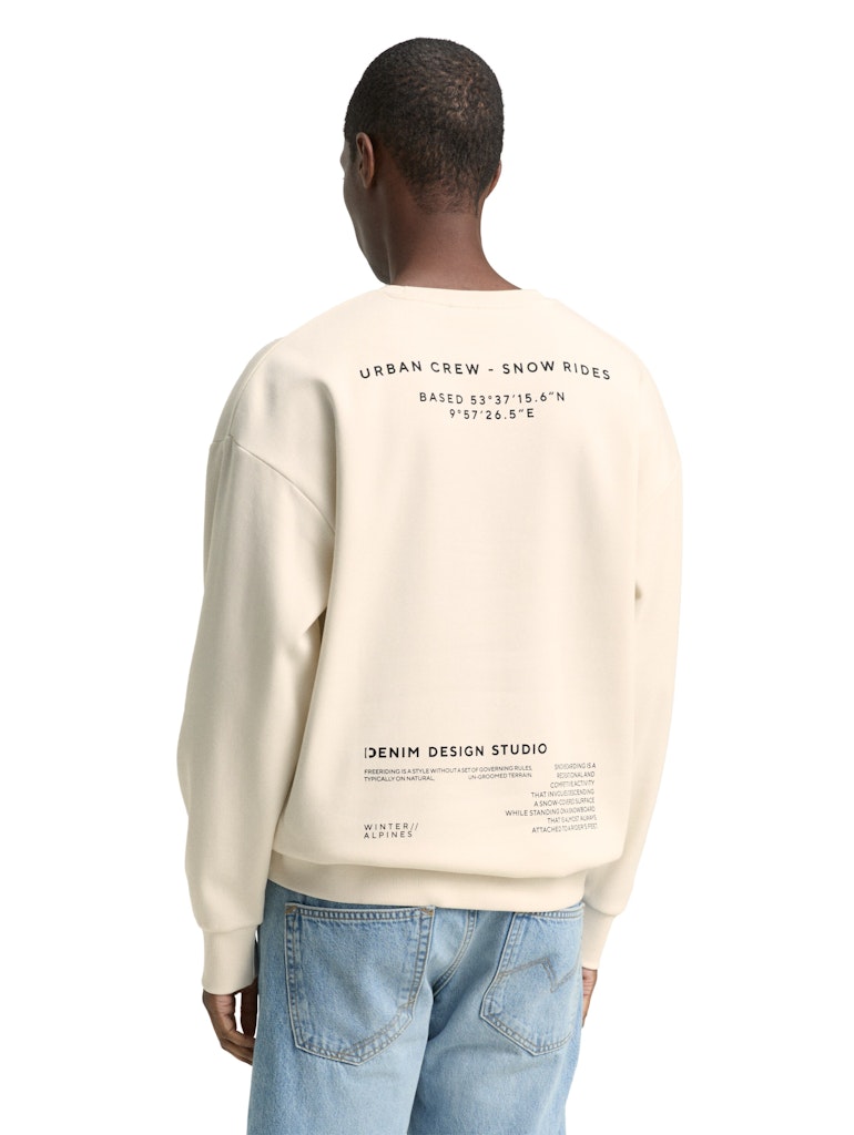 Tom Tailor denim Herren Sweatshirts Wool White