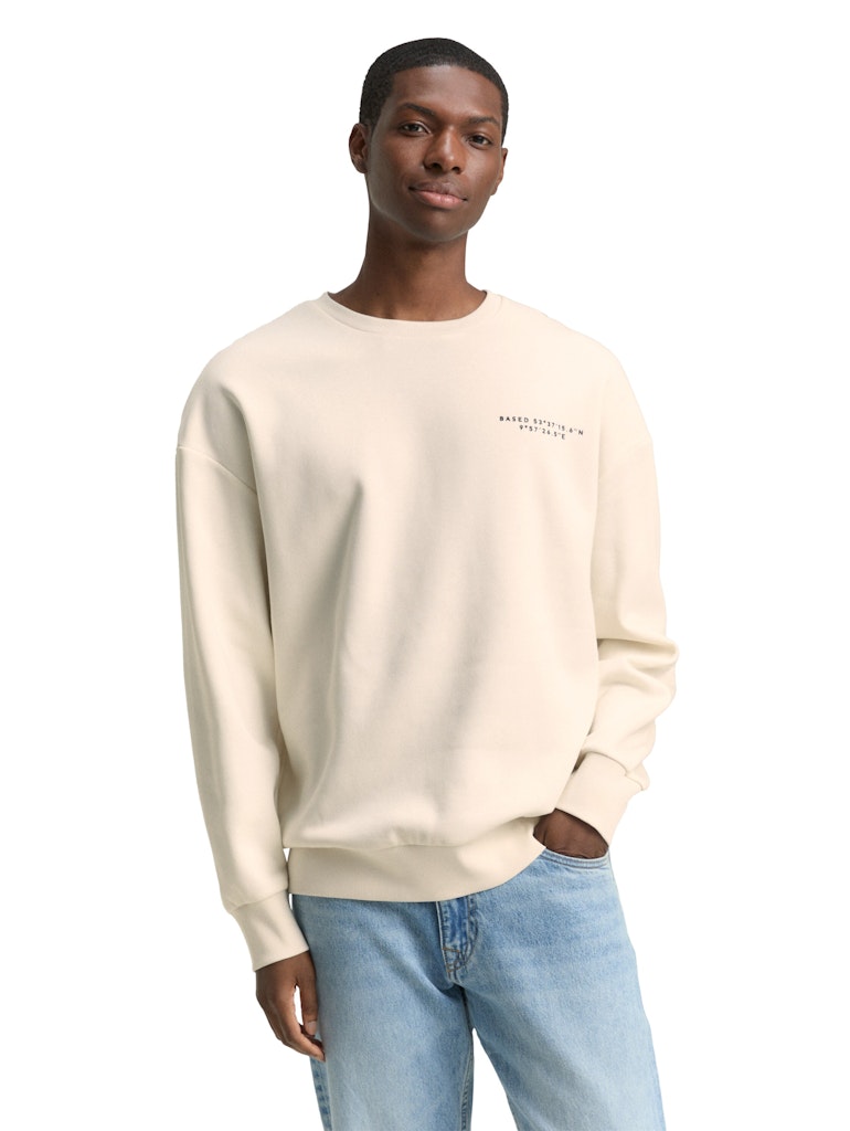 Tom Tailor denim Herren Sweatshirts Wool White