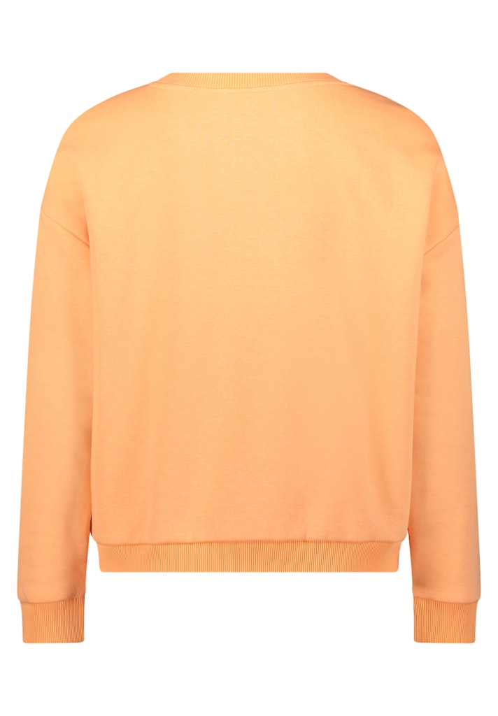 Cartoon Damen Sweatshirts Patch Orange/Pi