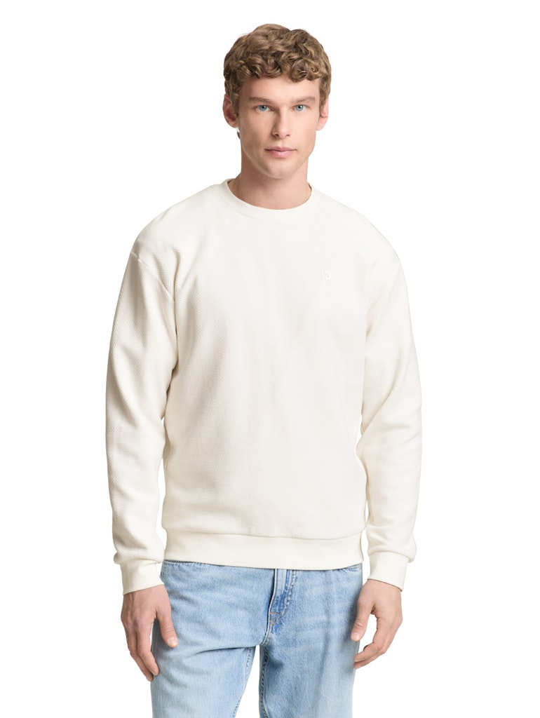 Tom Tailor denim Herren Sweatshirts Wool White