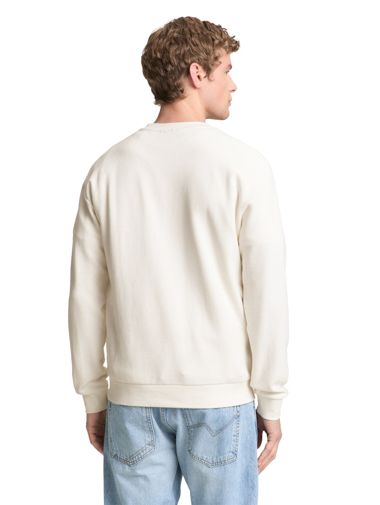 Tom Tailor denim Herren Sweatshirts Wool White