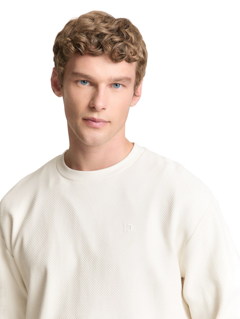Tom Tailor denim Herren Sweatshirts Wool White
