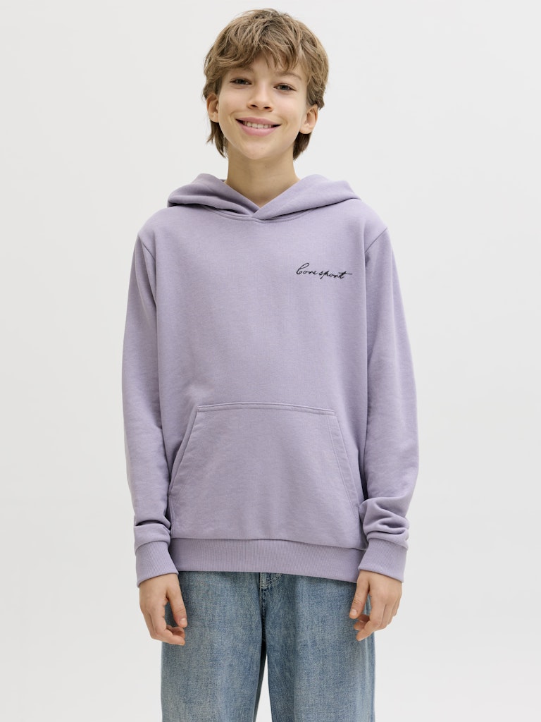 Jack & Jones Jungen Sweats & Sweatjacken Purple Ash
