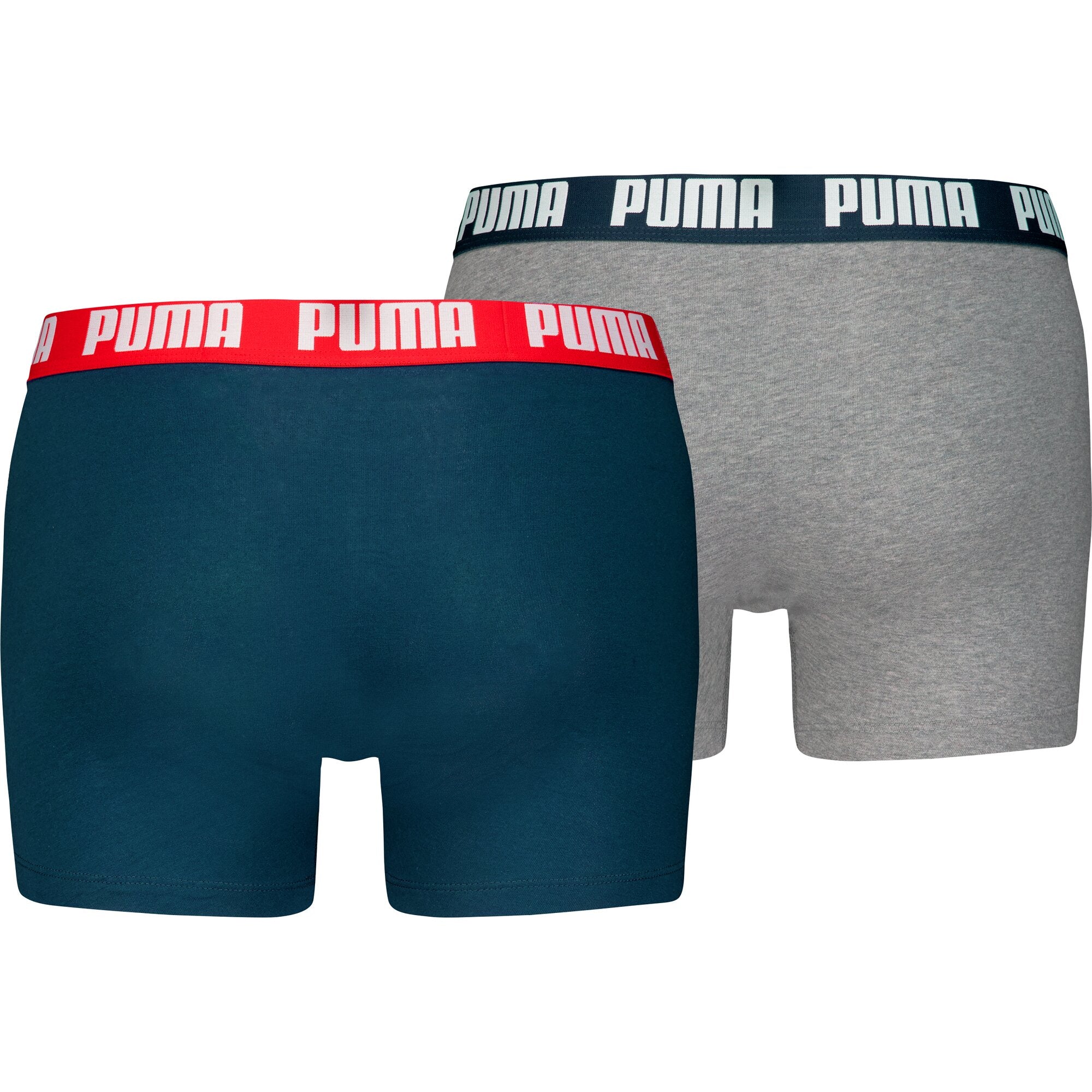Puma Pant  Navy / Grey