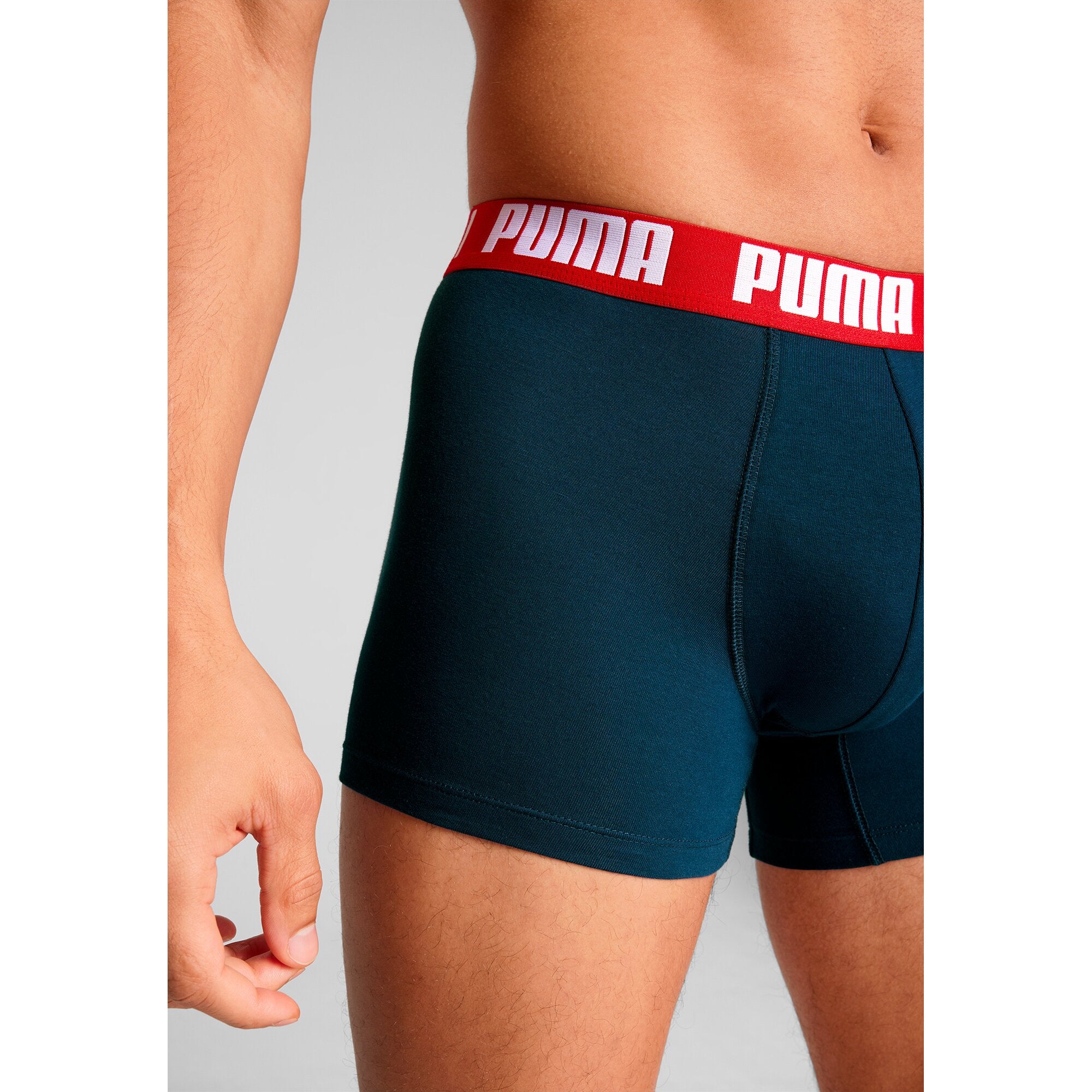 Puma Pant  Navy / Grey