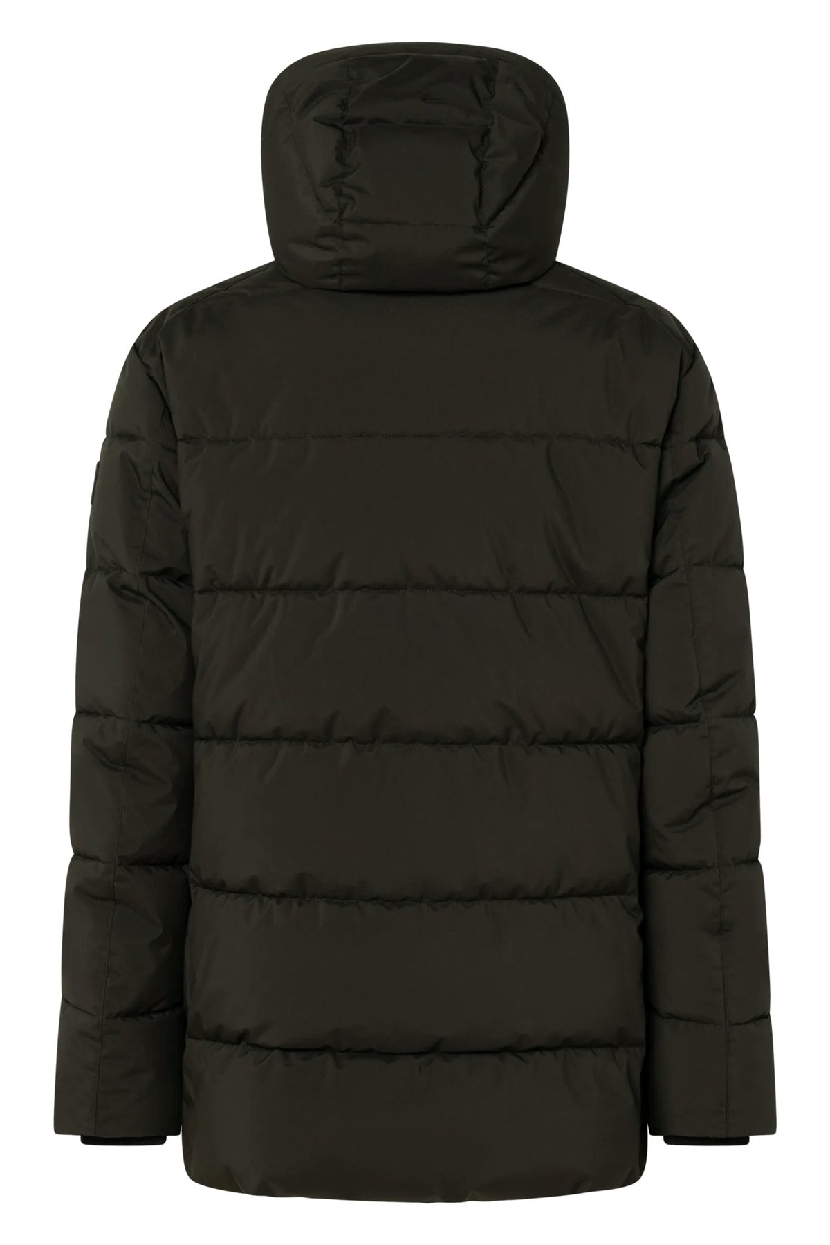 JOOP Herren Jacken Dark Green