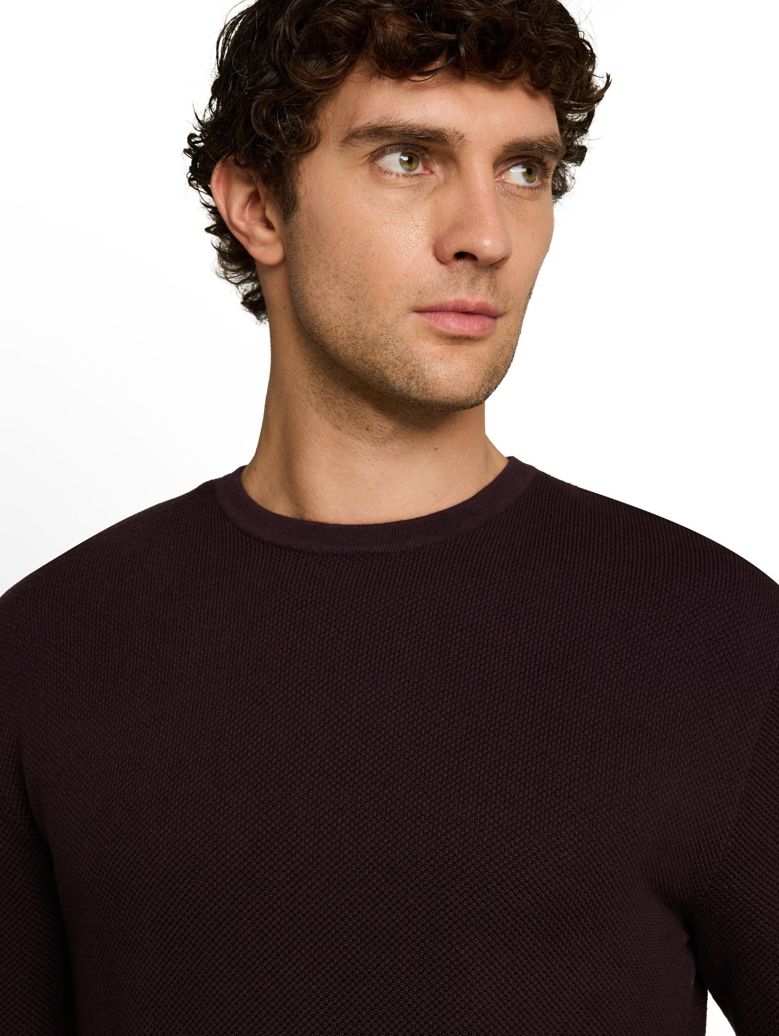 Tom Tailor denim Herren Pullover Dark Plum
