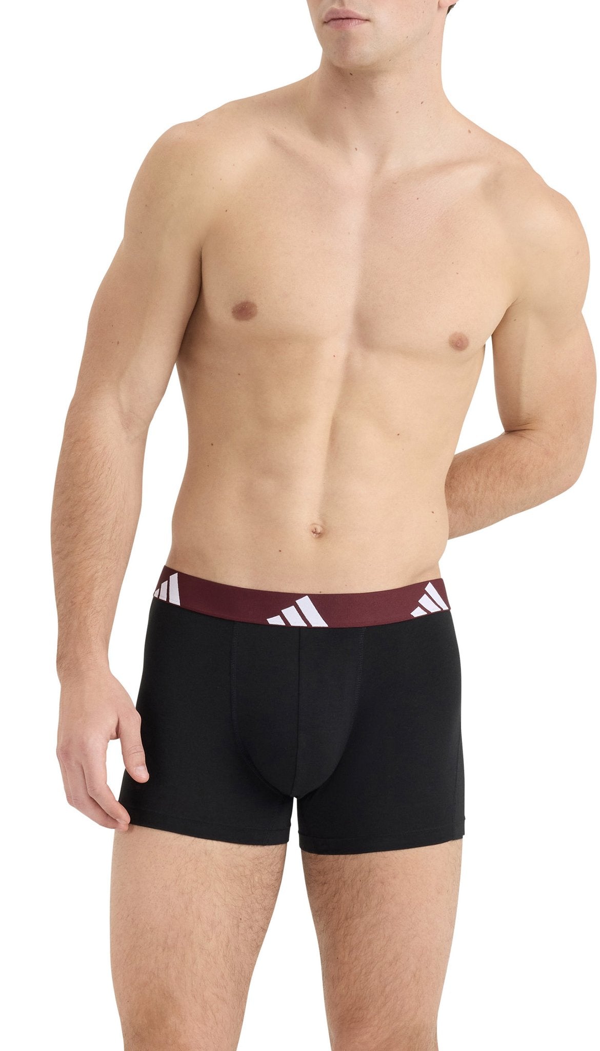 Adidas Pant  Assorted