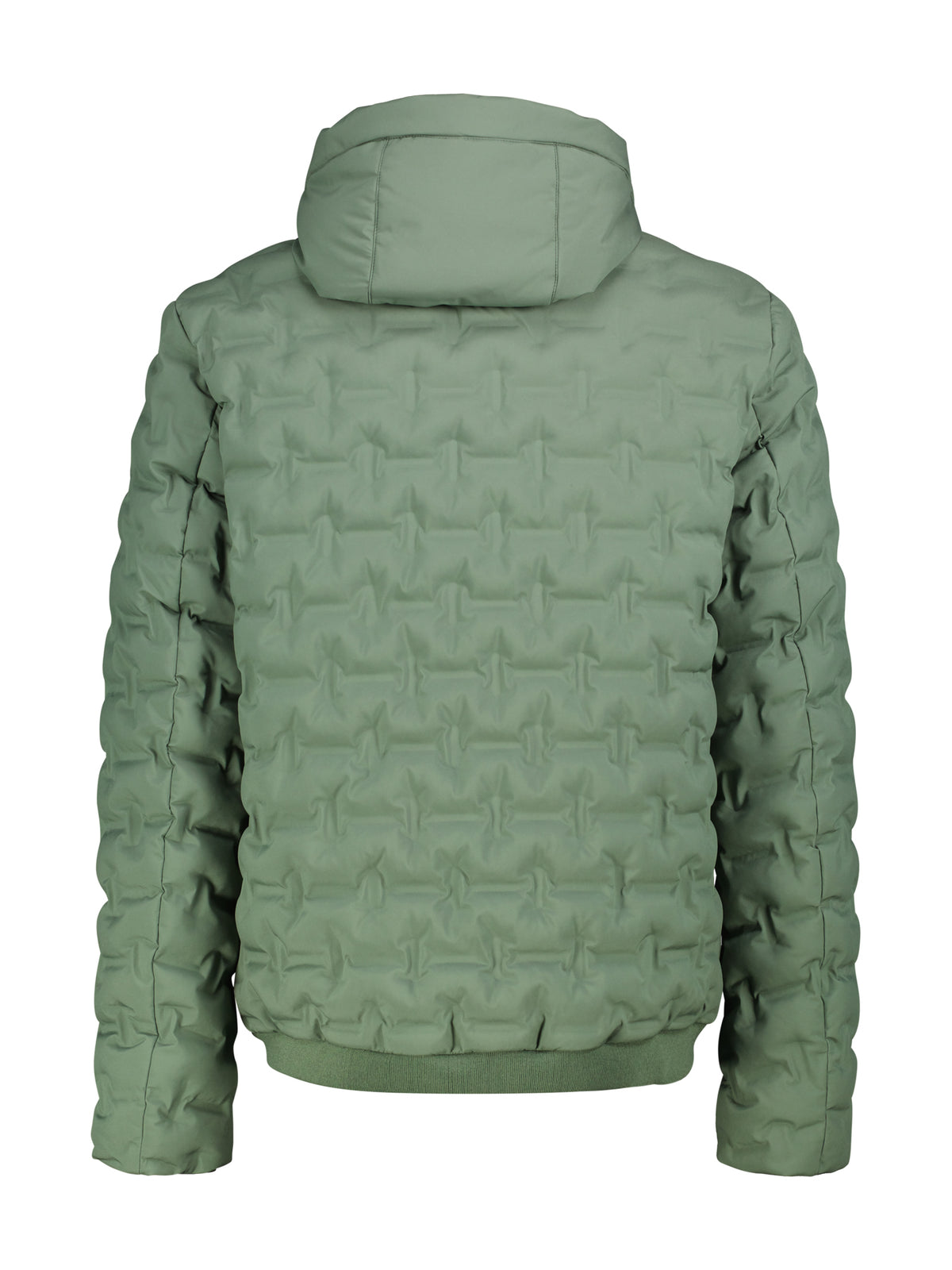 Lerros Herren Jacken Basil Green