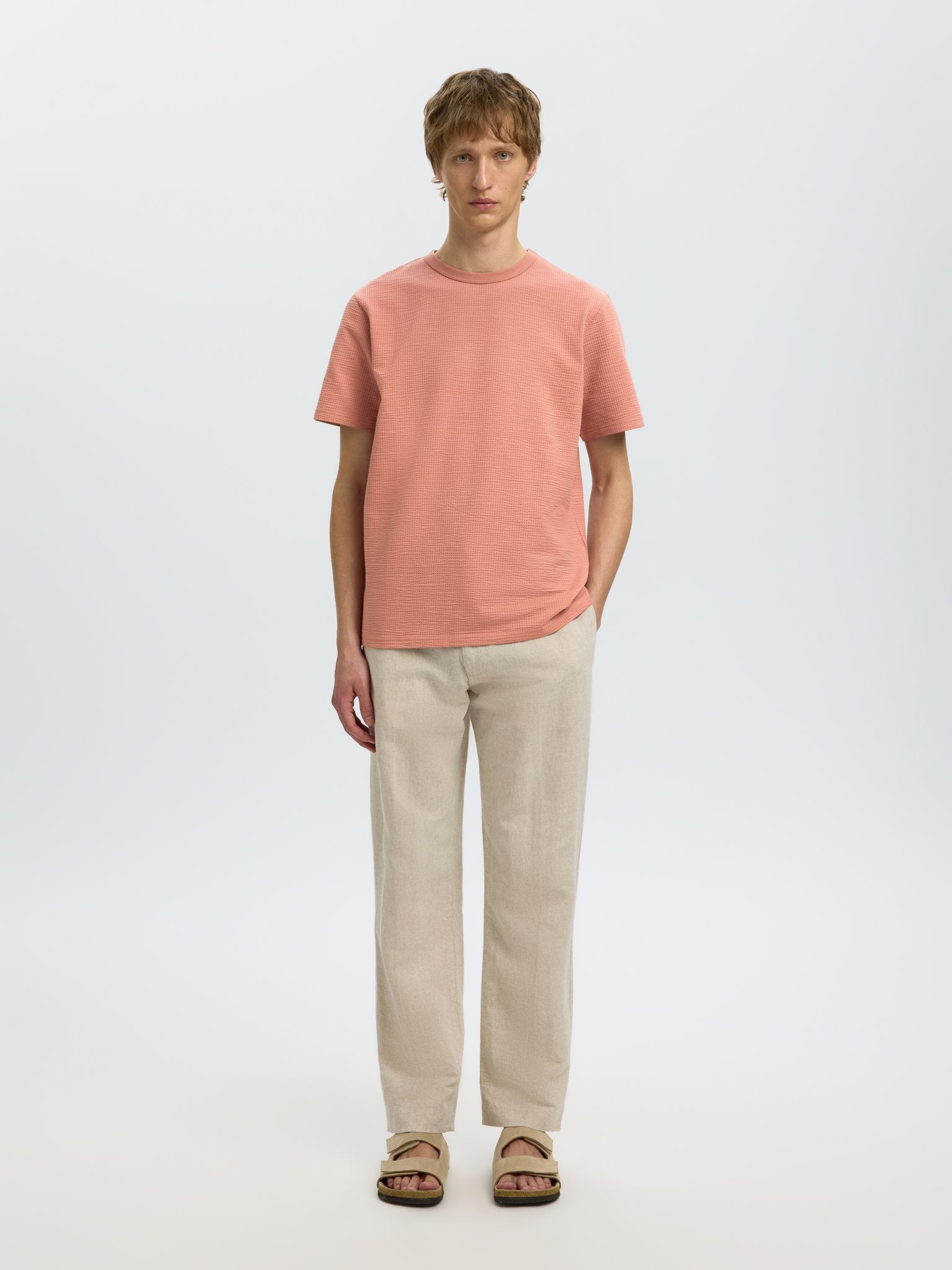 Selected homme Herren T-Shirts kurz Rose Daw