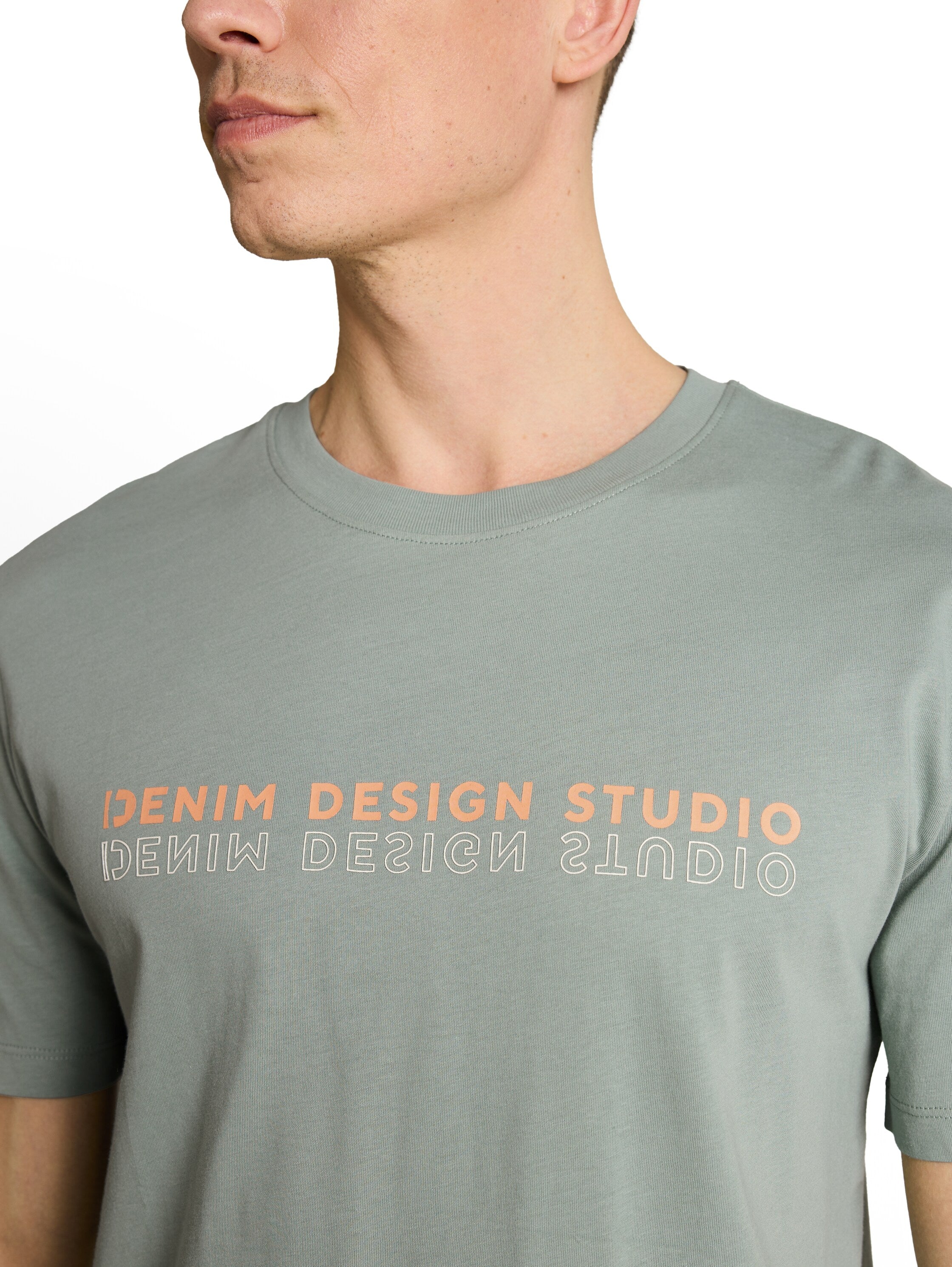 Tom Tailor denim Herren T-Shirts kurz Green Mist